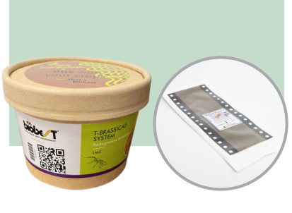 Trichogramma brassicae emballage